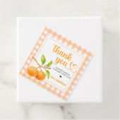 Gingham Orange Baby Shower Bedankjes Labels (In situ)