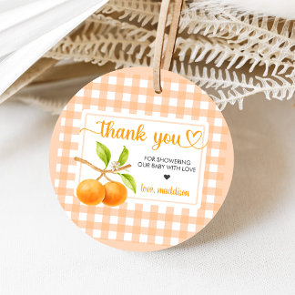 Gingham Oranje Baby Shower Bedankjes Labels