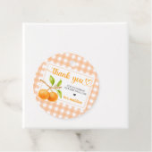 Gingham Oranje Baby Shower Bedankjes Labels (In situ)
