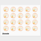 Gingham Oranje Baby Shower Ronde Sticker (Vel)