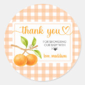 Gingham Oranje Baby Shower Ronde Sticker (Voorkant)