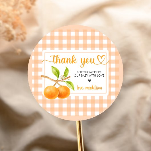 Gingham Oranje Baby Shower Ronde Sticker