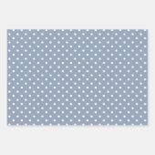 Gingham Polka Dots Dusty Blue Mix en Match Inpakpapier Vel (Voorkant 2)