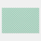 Gingham Polka Dots Pastel Mint Green Mix en Match Inpakpapier Vel (Voorkant 2)