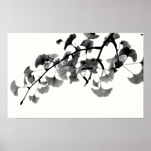 Gingko Biloba Foliage in zwart-wit Poster (Voorkant)
