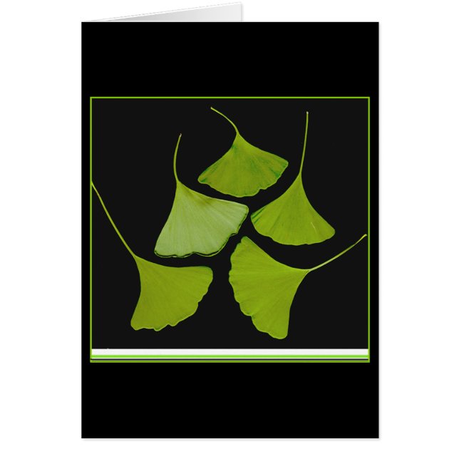 gingko blad card (Voorkant)