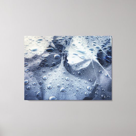 Gingko bladeren en regendruppels canvas afdruk (Voorkant)