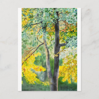 gingko briefkaart