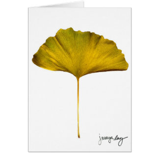 "Gingko" door J. Maya Luz