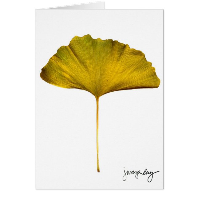"Gingko" door J. Maya Luz (Voorkant)