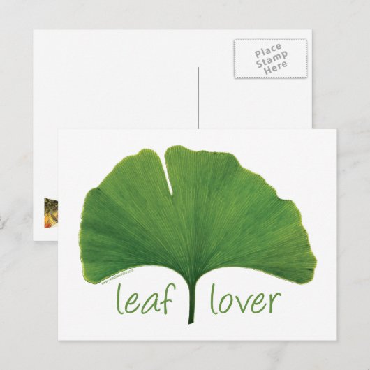 Gingko Leaf Briefkaart (Voorkant / Achterkant)