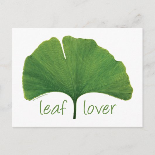 Gingko Leaf Briefkaart (Voorkant)