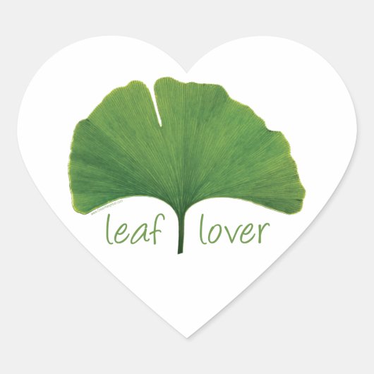 Gingko Leaf Hart Sticker (Voorkant)