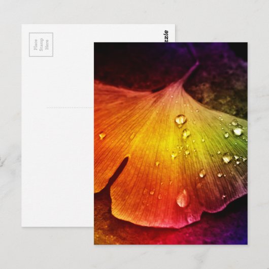 Gingko leaf, meerkleurig van Tutti Briefkaart (Voorkant / Achterkant)