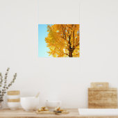 Gingko Tree, prefectuur Nagano, Japan Poster (Keuken)