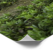 GINKAKU-JI ZEN TEMPLE POSTER (Hoek)