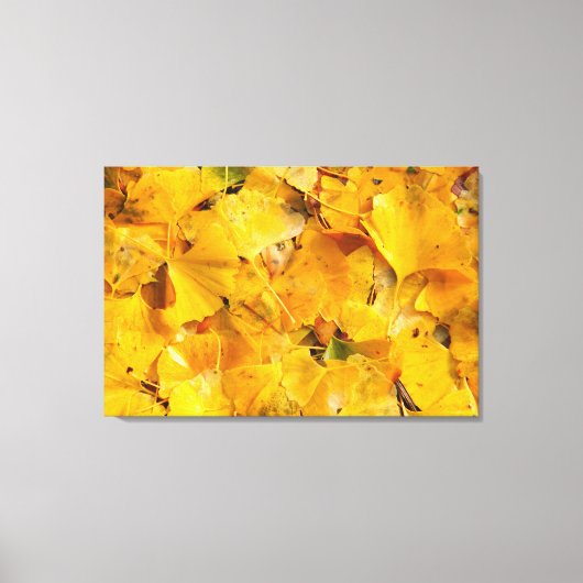 Ginkgo Biloba-bladeren Canvas Afdruk (Voorkant)