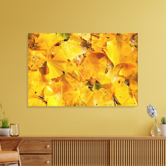 Ginkgo Biloba-bladeren Canvas Afdruk (Insitu (Woonkamer))