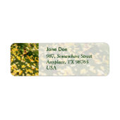 Ginkgo biloba bladeren etiket (Voorkant)