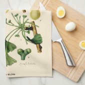  Ginkgo Biloba Botanische illustratie Theedoek (Quarter Fold)