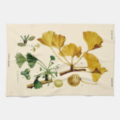  Ginkgo Biloba Botanische illustratie Theedoek (Horizontaal)