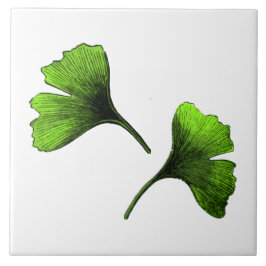 Ginkgo Biloba laat botanische kunst Tegeltje