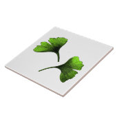 Ginkgo Biloba laat botanische kunst Tegeltje (Zijkant)