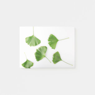 Ginkgo Biloba Leaf against White Background Post-it® Notes