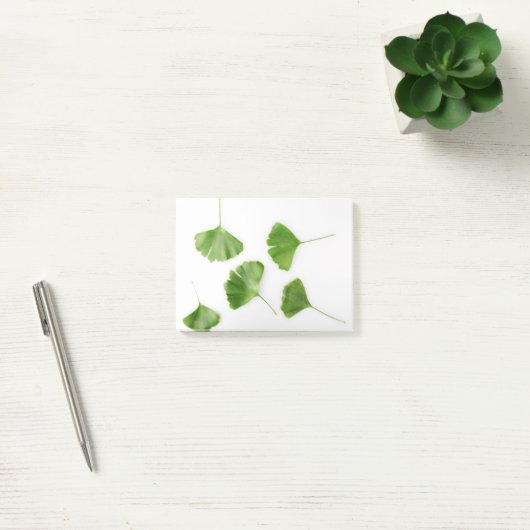 Ginkgo Biloba Leaf against White Background Post-it® Notes (Kantoor)