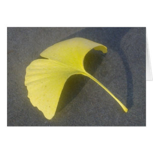 Ginkgo Biloba Leaf Card