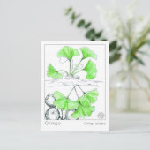 Ginkgo biloba medicinale kruid studie briefkaart (Staand voorkant)