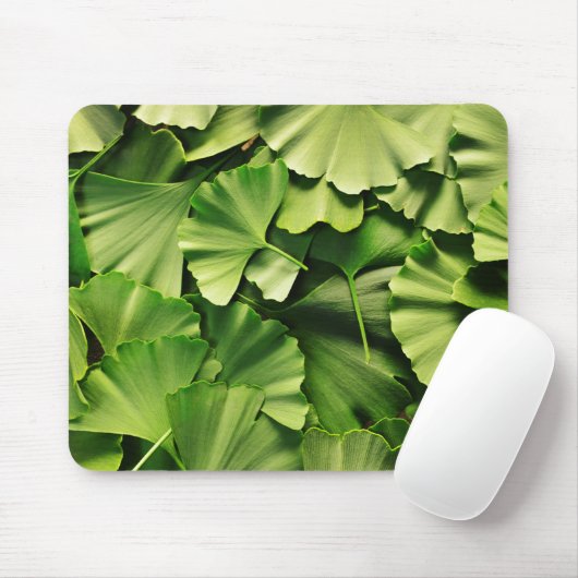 ginkgo biloba natuur plant textuur muismat (Met muis)