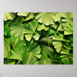 ginkgo biloba natuur plant textuur poster