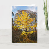 Ginkgo Biloba Tree Card Kaart (Voorkant)