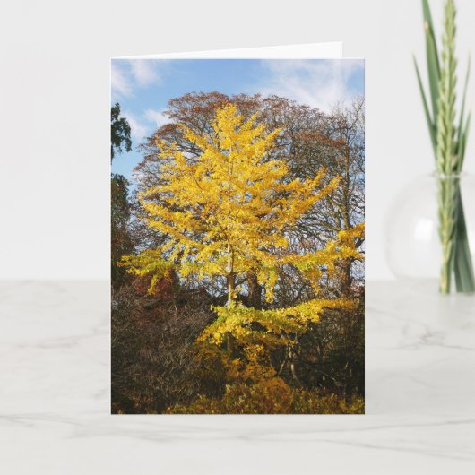 Ginkgo Biloba Tree Card Kaart (Voorkant)