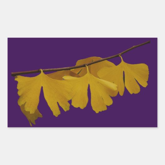 Ginkgo Biloba verlaat Sticker (Voorkant)