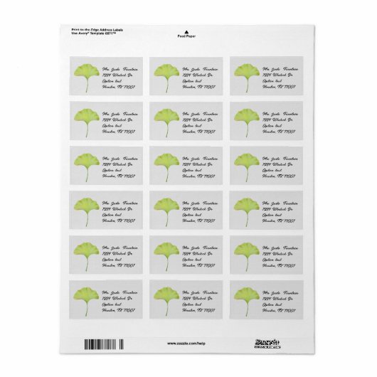 Ginkgo biloba waterverf die postlabel schilderen etiket (Full Sheet)