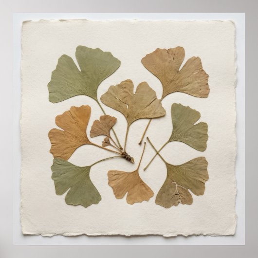 Ginkgo-blad botanische poster (Voorkant)