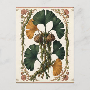 Ginkgo-blad Eikel Botanisch Omlijst Briefkaart