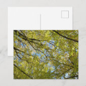 Ginkgo bladendak briefkaart (Voorkant / Achterkant)