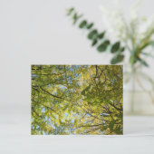 Ginkgo-bladerdak: Japan Briefkaart (Staand voorkant)