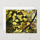 Ginkgo Bladeren in de herfst: Japan Briefkaart (Voorkant / Achterkant)