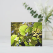 Ginkgo-bladeren: Japan Briefkaart (Staand voorkant)