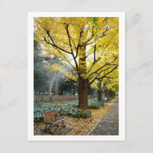 Ginkgo bomen: Meiji Jingu Gaien, Tokio Briefkaart