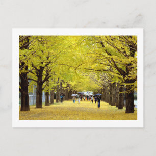 Ginkgo bomen: Showa Kinen Park, Tokio Briefkaart
