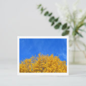 Ginkgo: Gele bladeren, blauwe hemel Briefkaart (Staand voorkant)