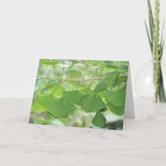 ginkgo kaart (Voorkant)