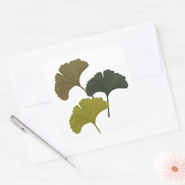 Ginkgo laat achtergrondkleuren achter vierkante sticker