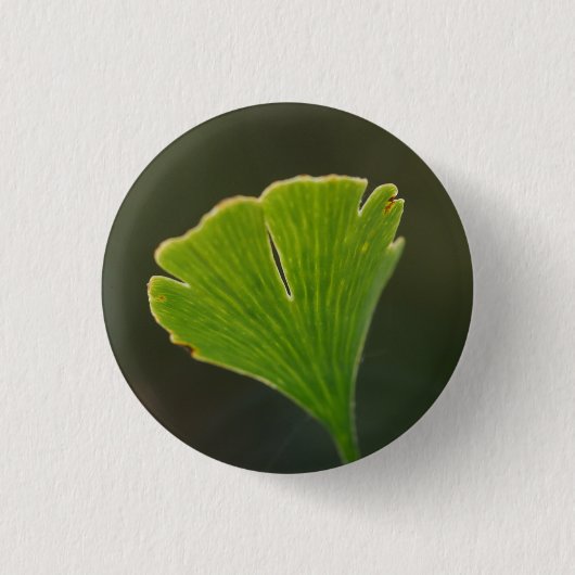 Ginkgo Leaf Badge Ronde Button 3,2 Cm (Voorkant)