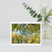 Ginkgo Leaf Canopy: Japan Briefkaart (Staand voorkant)